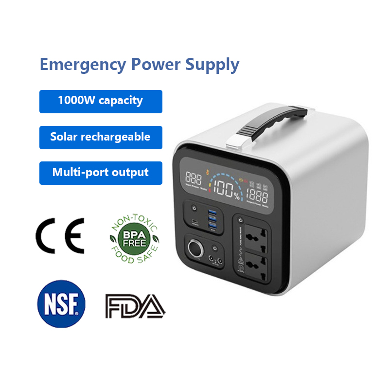 Emergency Power Supply